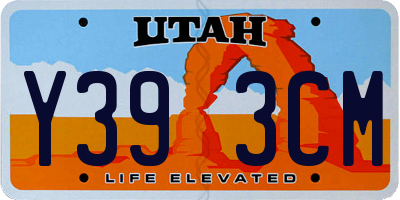 UT license plate Y393CM