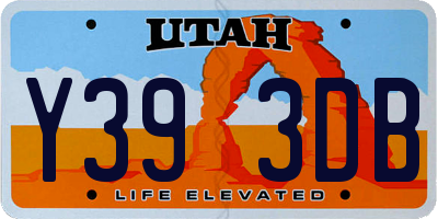 UT license plate Y393DB