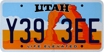 UT license plate Y393EE