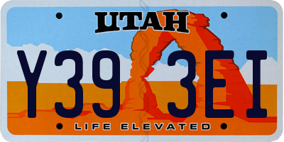 UT license plate Y393EI