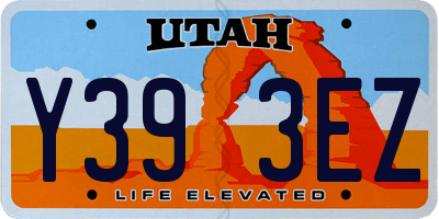 UT license plate Y393EZ