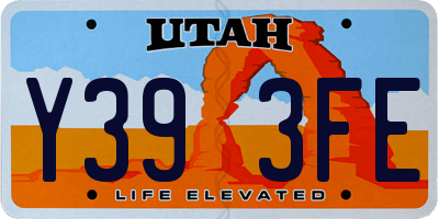 UT license plate Y393FE