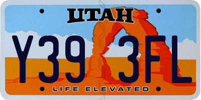 UT license plate Y393FL