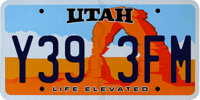UT license plate Y393FM