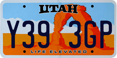 UT license plate Y393GP