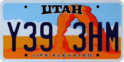 UT license plate Y393HM