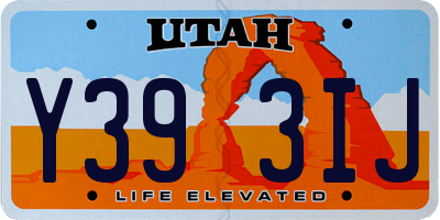 UT license plate Y393IJ