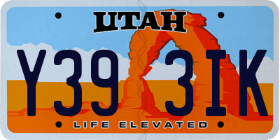 UT license plate Y393IK