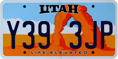 UT license plate Y393JP