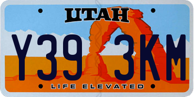 UT license plate Y393KM