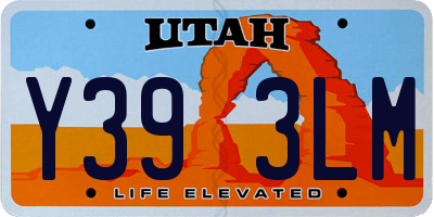UT license plate Y393LM