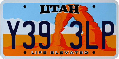 UT license plate Y393LP