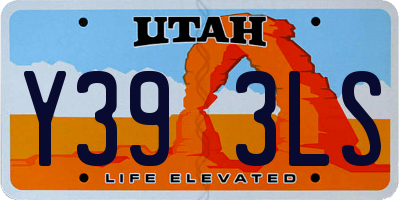 UT license plate Y393LS