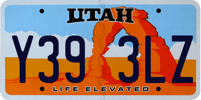 UT license plate Y393LZ
