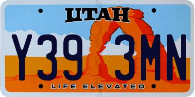 UT license plate Y393MN