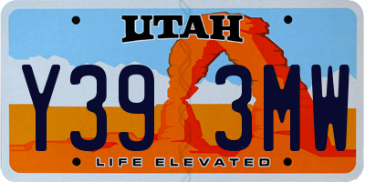 UT license plate Y393MW