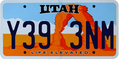 UT license plate Y393NM