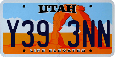 UT license plate Y393NN