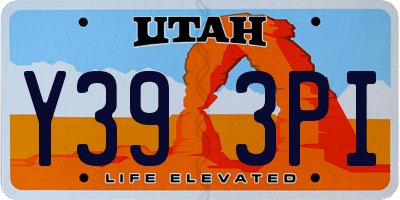 UT license plate Y393PI