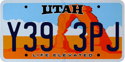 UT license plate Y393PJ