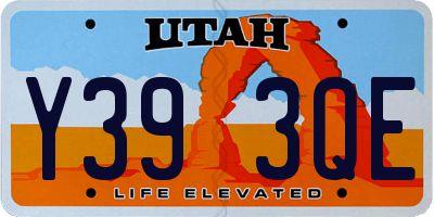 UT license plate Y393QE