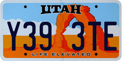 UT license plate Y393TE