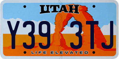 UT license plate Y393TJ