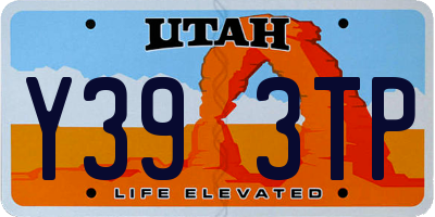 UT license plate Y393TP