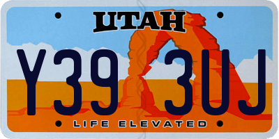 UT license plate Y393UJ