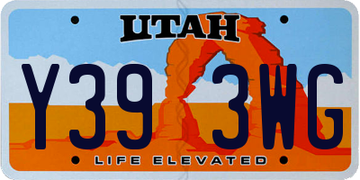 UT license plate Y393WG