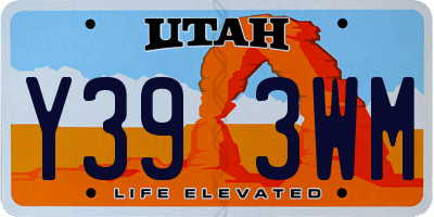 UT license plate Y393WM
