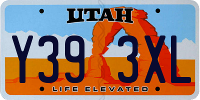 UT license plate Y393XL