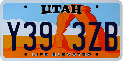 UT license plate Y393ZB