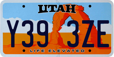 UT license plate Y393ZE
