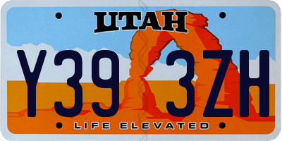 UT license plate Y393ZH