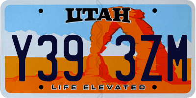 UT license plate Y393ZM