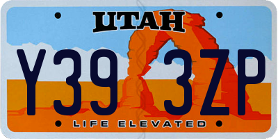 UT license plate Y393ZP