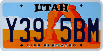 UT license plate Y395BM