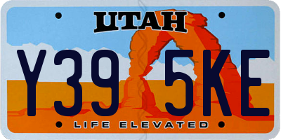 UT license plate Y395KE