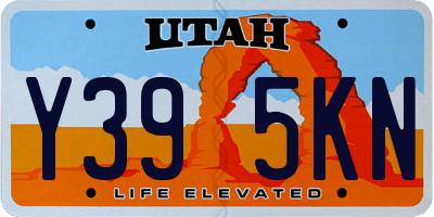 UT license plate Y395KN