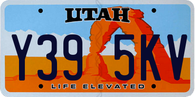 UT license plate Y395KV