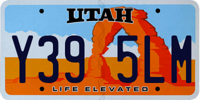 UT license plate Y395LM
