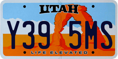 UT license plate Y395MS