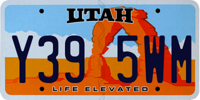 UT license plate Y395WM