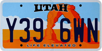 UT license plate Y396WN