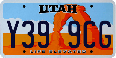 UT license plate Y399CG