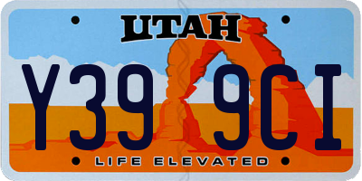 UT license plate Y399CI