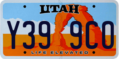UT license plate Y399CO