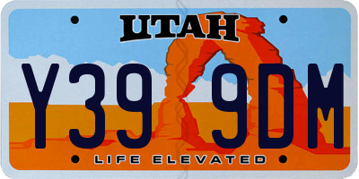 UT license plate Y399DM