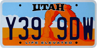 UT license plate Y399DW